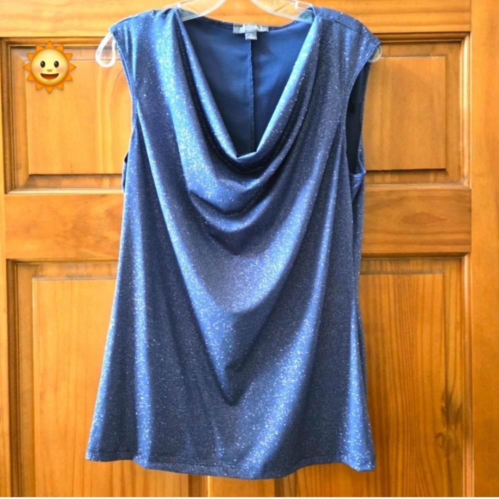 ROZ AND ALI Sparkling Blue Sleeveless Top Size LG